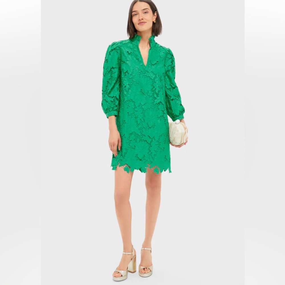 XS Tuckernuck Pomander Place Green Lace Cath Mini Dress - Picture 4 of 17